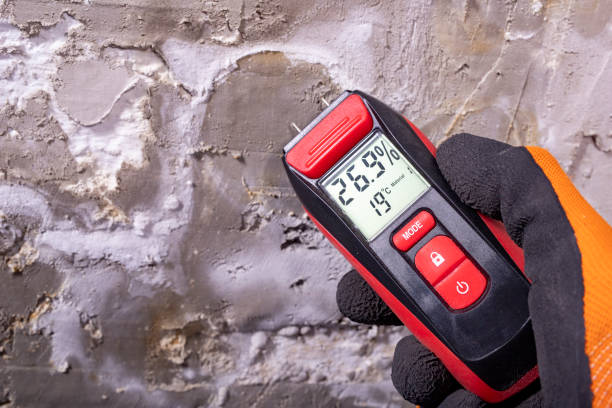Best Mold Damage Repair  in El Verano, CA
